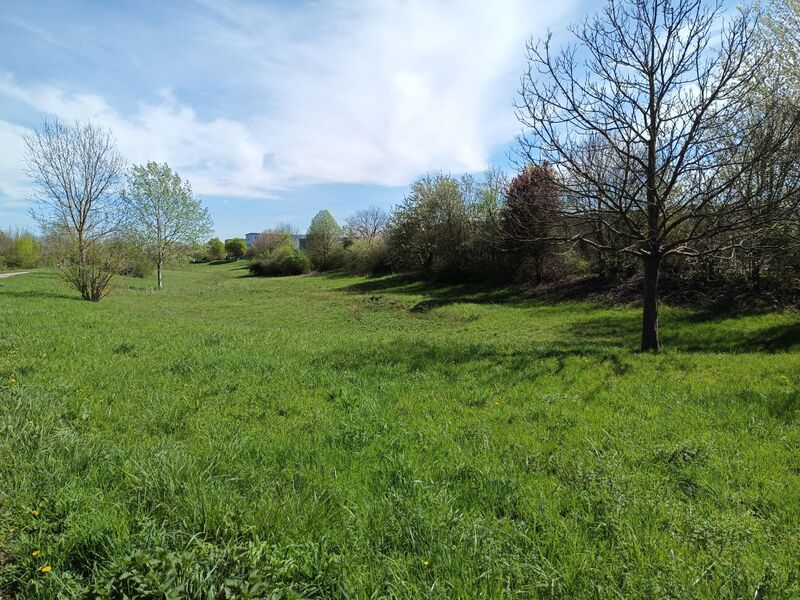 Datei:Queichheim Industriegebiet Park 2.jpeg