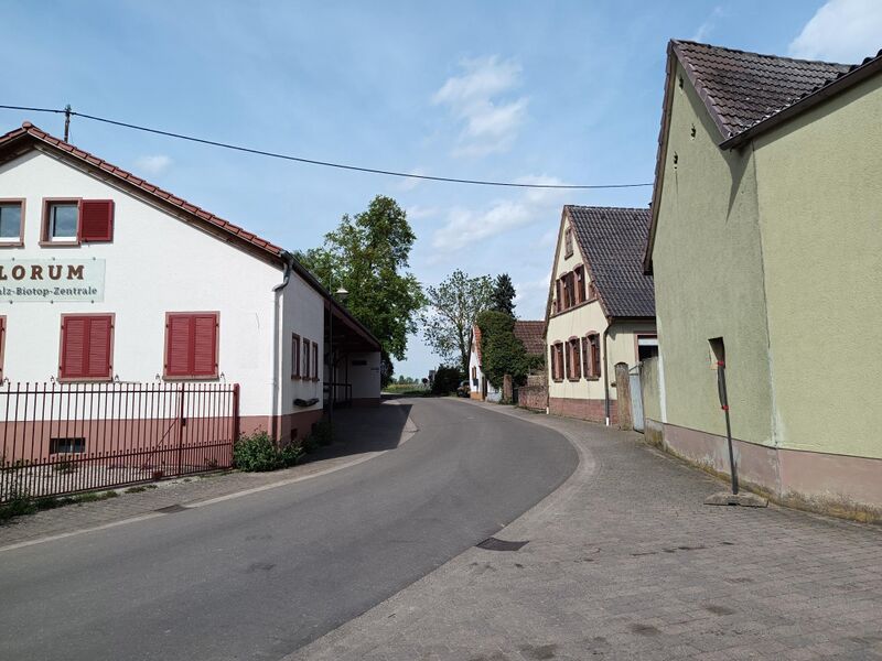 Datei:Niedergasse Kleinfischlingen.jpeg