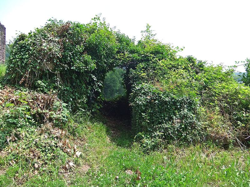 Datei:Hinterburg Neckarsteinach 13.JPG