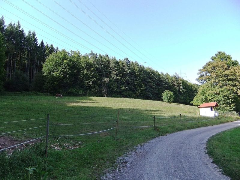 Datei:St Josef Obrigheim 5.JPG