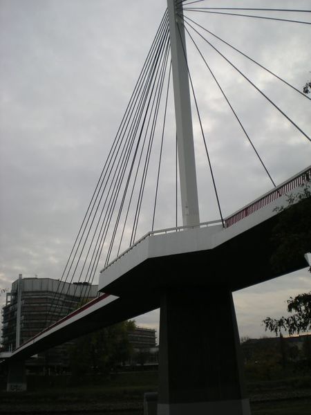 Datei:Collinisteg Mannheim 03.jpg