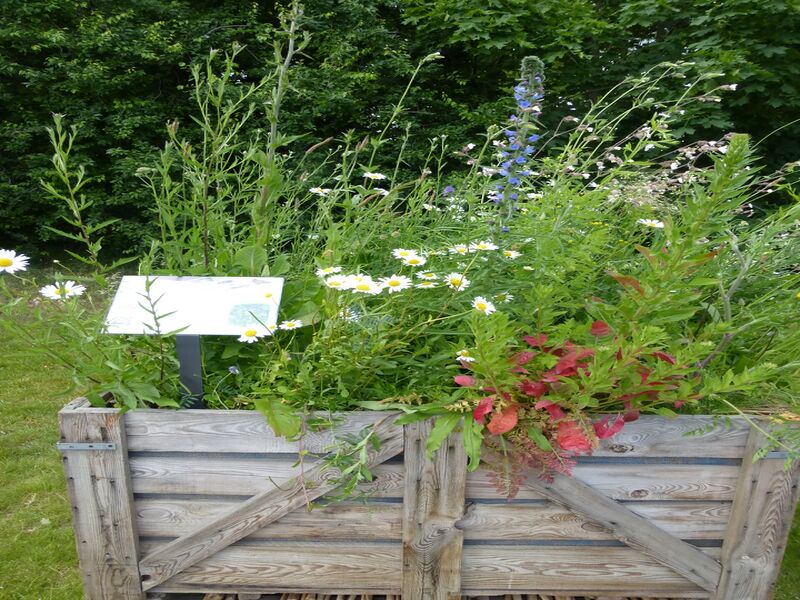 Datei:LGS Landau Eh-da 2.JPG