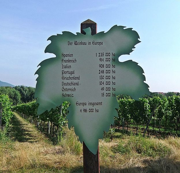 Datei:Weinlehrpfad Edenkoben 18.JPG